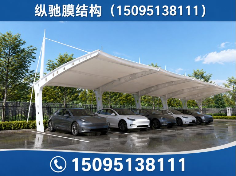 青州市膜结构车棚展示图