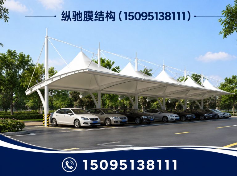 青州市膜结构停车棚展示图